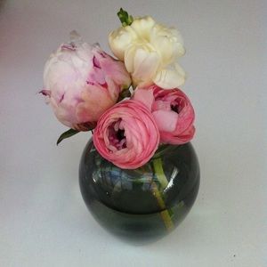 Meet your Posher, Janet